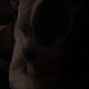 Meet your Posher, Nikki